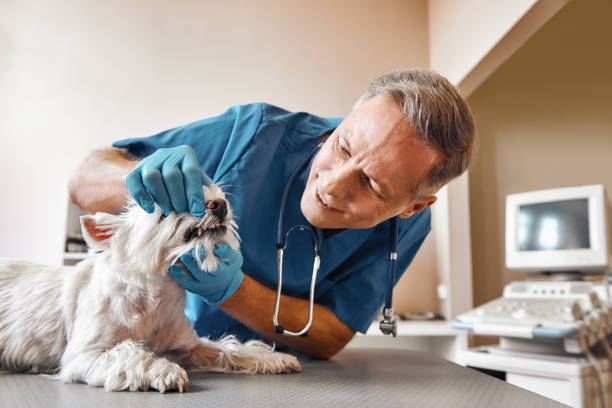Best Emergency Treatment for Dental Infections or Abscesses in Grand Saline, TX